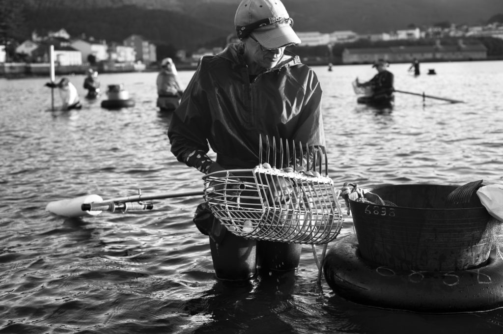 Working in the sea, by Cris Romero