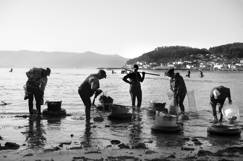 Working in the sea, by Cris Romero