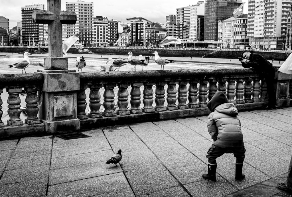 Ana Fernández-Andres-2