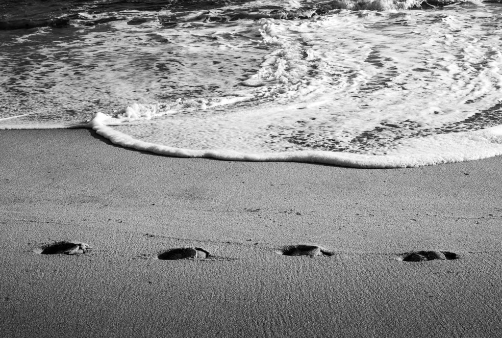 Ana Fernández-Andres-3